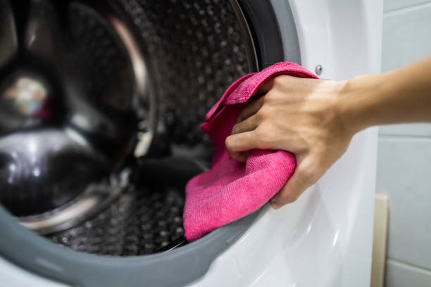 Best Mold Damage Restoration  in Derby, KS