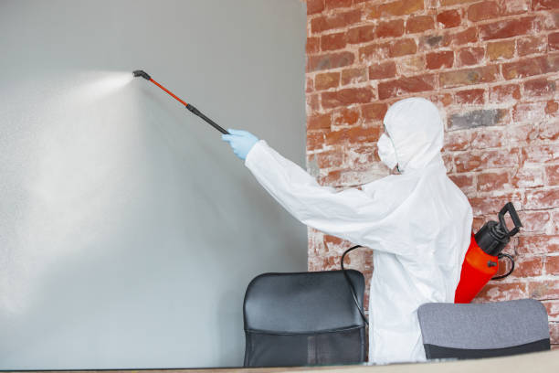 Best Mold Remediation for Healthcare Facilities  in Derby, KS