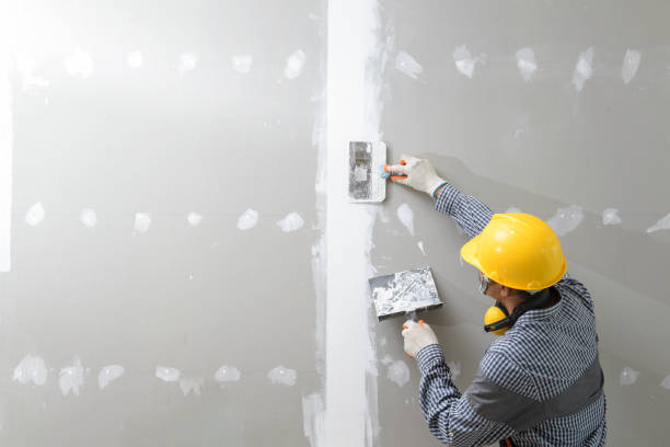 Best Mold-Related Health Consultation  in Derby, KS