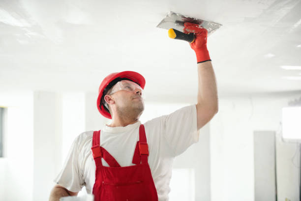 Biohazard Mold Removal in Derby, KS