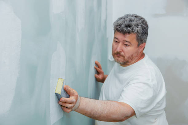 Best Industrial Mold Remediation  in Derby, KS
