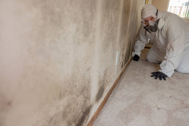 Best Post-Remediation Verification Testing  in Derby, KS