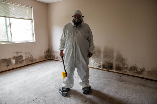 Best Asbestos and Lead Testing During Mold Inspection  in Derby, KS