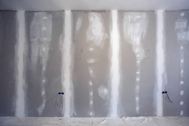 Best Air Quality Testing for Mold Spores  in Derby, KS